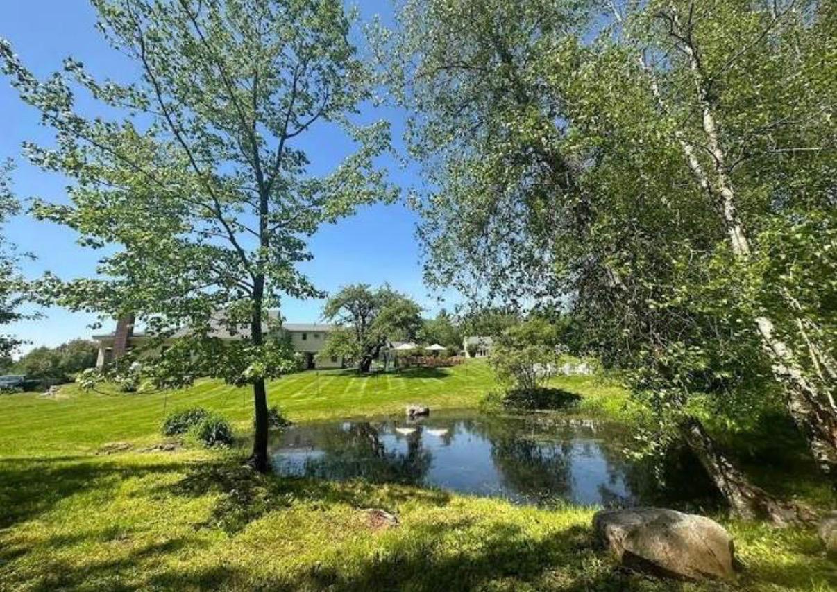 Estate Exterior — pond and grounds